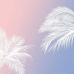 Meet your Posher, Talia